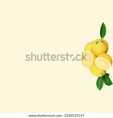 Close up of Fresh  lemon slice with background concept.
