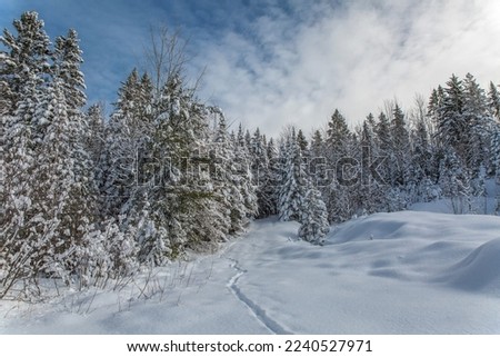 Canadian winter landscape.  Cold winter afternoon in Quebec, Canada.   Winter landscape in Canada.
