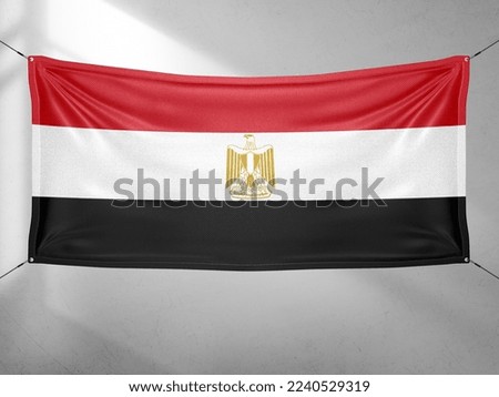 Egypt national flag cloth fabric waving on beautiful grey sky.