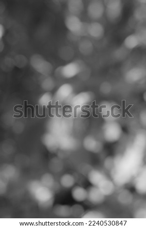 Blurry dreamy abstract bokeh of the sun light shining thru the trees in a black and white monochrome.