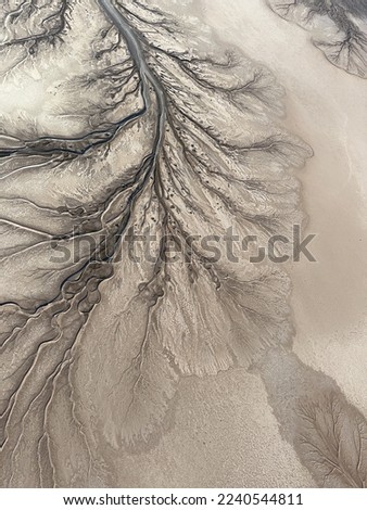 This aerial photo showcases the intricate and abstract tree patterns in the Colorado River delta in Mexicali Baja California, Mexico. Royalty-Free Stock Photo #2240544811