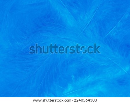 Beautiful abstract blue feathers on white background, black feather texture and blue background, feather wallpaper, blue texture banners, love theme, valentines day, light blue texture gradient
