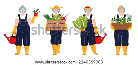 A set of characters as white elderly gardener. Smiling woman carrying a box of vegetables. Gray-haired girl in a hat holding chinese cabbage and watering can. Happy old female with pot of the plant