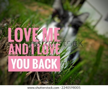 Love quote with Cat blurred defocused background written - Love me and I love you back.