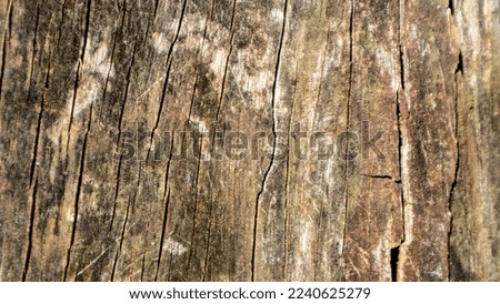 old wood texture as background
