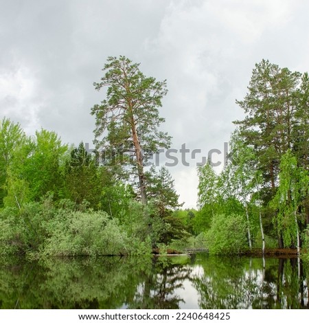 The flooded bank of the Tavda River. Russia. Sverdlovsk region.