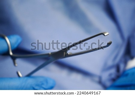 Doctor wearing blue medical gloves holding Allis Intestinal and Tissue grasping forceps, are serrated surgical forceps used for ligation and clamping of bleeding in uterus during surgery Royalty-Free Stock Photo #2240649167