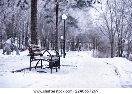 park bench on a winter alley at snowfall. bench with snow after snowstorm or in snow calamity in europe, winter night  photography in city