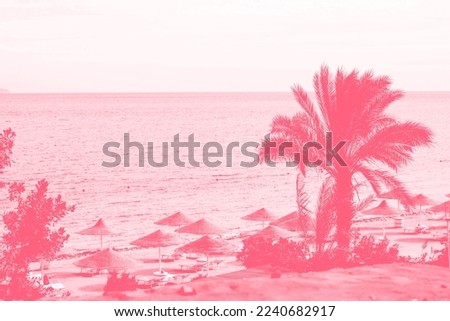 Coral background with Egyptian hotel resort and spa. Coast shore of Red Sea in Sharm el Sheikh, Sinai, Egypt. Trendy color of year 2023 - Viva Magenta.
