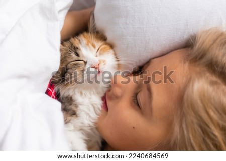 a cute little girl is sleeping sweetly at home in a rabbit with a kitten. White cotton bed linen. Christmas holidays. Children and pets at home. High quality photo