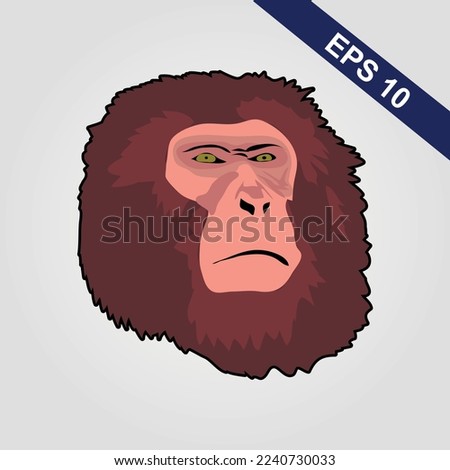 Cute monkey icon. Vector illustration isolated on a grey background.