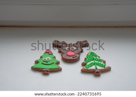 colorful gingerbread cookies on a white matte surface