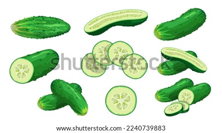 Cucumbers set. Whole, halved, sliced cucumbers. Fresh green cucumbers. Organic vegetables. Best for menu, market designs. Vector illustrations. Royalty-Free Stock Photo #2240739883