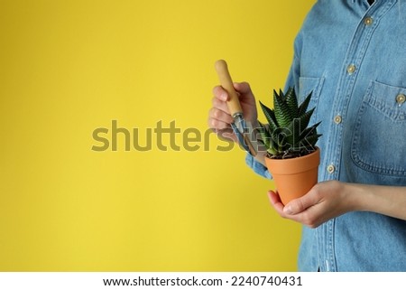 Woman hold garden shovel and pot with plant on yellow background