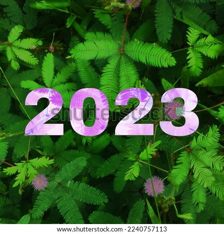2023 Happy New Tears. You can use this background for your content, social media, video, qoute, presentation, website and others. 