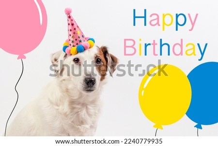 Dog in birthday cap on white background with balloons and happy birthday inscription. Photo can be used for cards, flyers, banners, greetings.