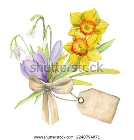 Watercolor hand drawn composition with spring flowers, crocus, snowdrops, daffodils, bow, gift tag. Isolated on white background. For invitations, wedding, greeting cards, wallpaper, print textile