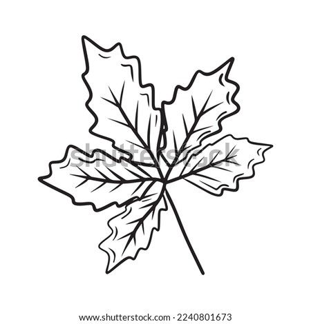Beautiful chestnut, walnut, grape autumn leaf drawing isolated on white baсkground. Hand drawn vector sketch illustration in vintage simple doodle engraved style. Falling leaves, tree.