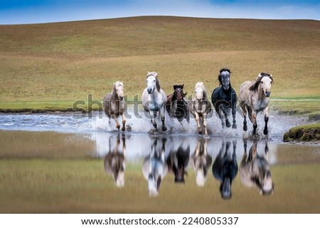 Horse herd run fast in river against dramatic sunset sky Royalty-Free Stock Photo #2240805337