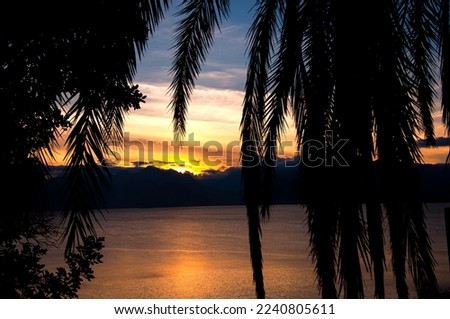 Palm trees at sunset. Antalya, Turkey.