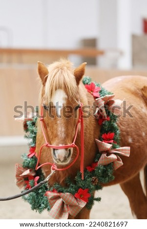 Unique picture of a saddle horse while wearing a beautiful wreath decoration as an emotional christmas background