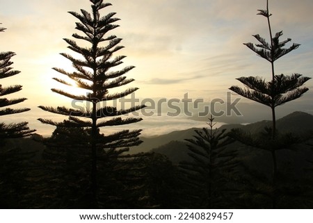 Northern Thailand mountain atmosphere in winter, sunset, evening time.