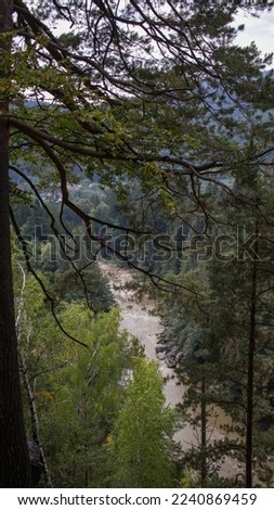 Summer mountain landscape through tree branches
