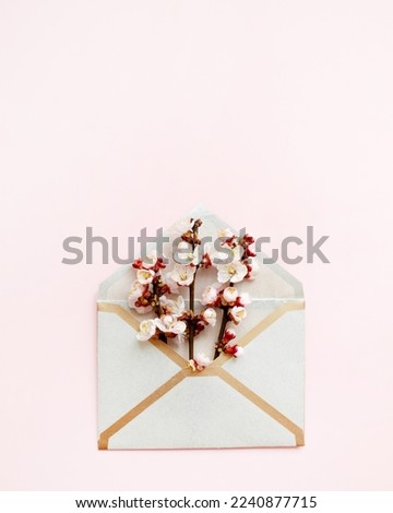 envelopeand cherry or sakura blossom on a pink background. minimalistic beautiful spring background. copy space. place for text. top view.