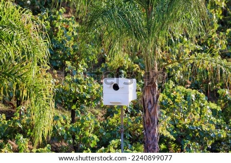 A barn owl nest box on top of a pole at a vineyard to for pest and rodent and pocket gopher control.