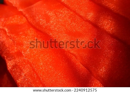 Abstract Red Glitter Fabric Background. Close up satin texture for banner and backdrop