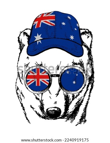 Brown bear's hand drawn portrait. Patriotic sublimation in colors of national flag on white background. Australia