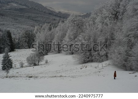 Landscape picture of mountains and forest covered with snow and a person observing
