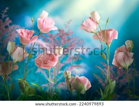 Fantasy Eustoma flowers grow in enchanted fairy tale dreamy garden with fabulous fairytale blooming tender roses in early magical morning on mysterious floral blue background with dawn sun rays.