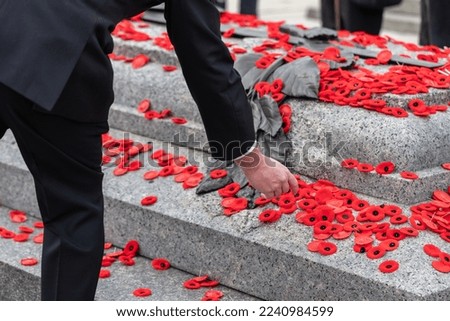 People put poppy flowers on Tomb of the Unknown Soldier in Ottawa, Canada on Remembrance Day Royalty-Free Stock Photo #2240984599