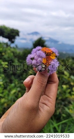 Creative layout with hands holding purple and orange flowers.  nature as background. Stand up straight. Nature concept.