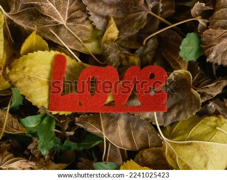red decorative love lettering on leaves