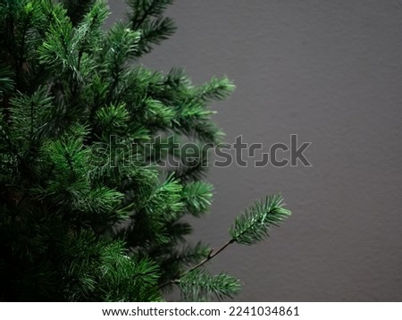 Tree Pine Christmas Symbols on Dark Grey Cement Background,Plant Growth Branch Fresh Leaves Prickly Winter Season  Decoration,Close Up Texture Leaf Celebrations or Merry Christmas and Happy New Year.