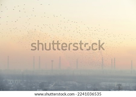 Sunset in the city. Global warming background. A large flock of birds flies over the smoking chimneys. Epic industrial landscape. Royalty-Free Stock Photo #2241036535