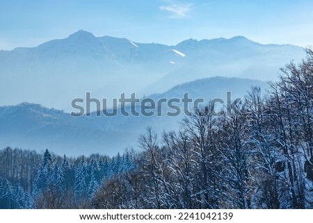 Panoramic view of beautiful winter wonderland mountain scenery with leafless snow capped trees, clear blue sky and high Alpine mountains on background. Picturesque wintry scene with copy space.