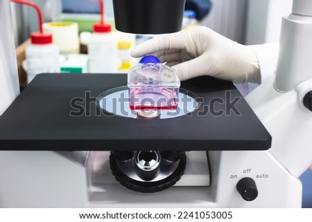 Scientists use a microscope to look at cultures of cancer cells in the laboratory. Research and drug development, Medical, Pharmaceutical, Biochemistry. Royalty-Free Stock Photo #2241053005