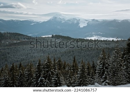Amazing Hoverla in winter landscape photo. Beautiful nature scenery photography with gloomy sky on background. Idyllic scene. High quality picture for wallpaper, travel blog, magazine, article
