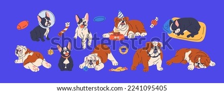 Cute dogs of English and French bulldogs breeds. Funny purebred doggies. Adorable puppies, amusing pups with treats, food, toys, pet bed. Canine animals activities. Isolated flat vector illustrations
