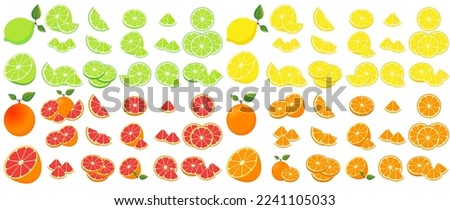Vector image of grapefruit, lemon, lime, orange. Juicy healthy citrus fruit. A design element for web applications, websites and social networks. Royalty-Free Stock Photo #2241105033