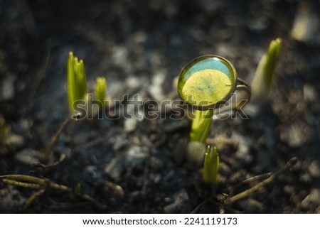 Close up craft ring with natural leaf concept photo. Trendy bijouterie. Side view photography with sprouts in dirt on background. High quality picture for wallpaper, travel blog, magazine, article