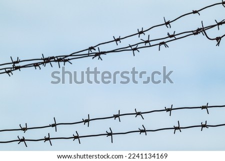 Barbed metal wire on gray background. Border protection fence, forbidden entry