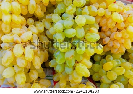 Grapes bunch cluster tablegrapes vine fruit food angoor Vitis vinifera grape fresh delicious grape closeup view image picture stock photo