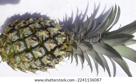 Fresh pineapple or nanas with leaves from the garden with white background