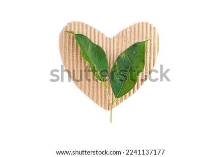 Cardboard heart with leaves on white background Pictures for Valentine's Day. Environment Day. with space for your text Wallpaper.