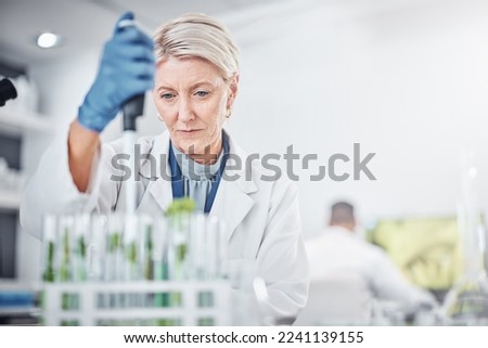 Scientist woman, laboratory and test tube with plants, research and analysis of leaves for ecology. Senior science expert, glass and health study of plant for pharma, medicine or sustainable medicine Royalty-Free Stock Photo #2241139155
