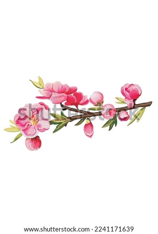 Cherry and apple flowers isolated on white background. Vector illustration in flat style.